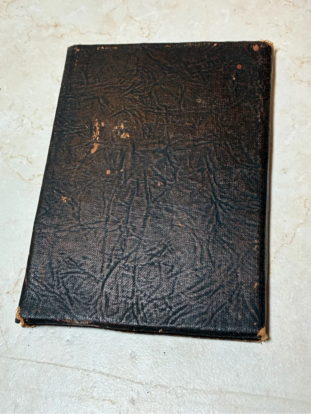 2 Vintage 1907 Nutshell Library Books - Dickens and Irving